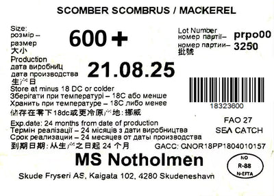 冰冻-Tiefgefroren! 挪威 鲭鱼 600+ 一条 /Norwegian Makrele Saba W/R 600+ pro Stück WESTCOAST