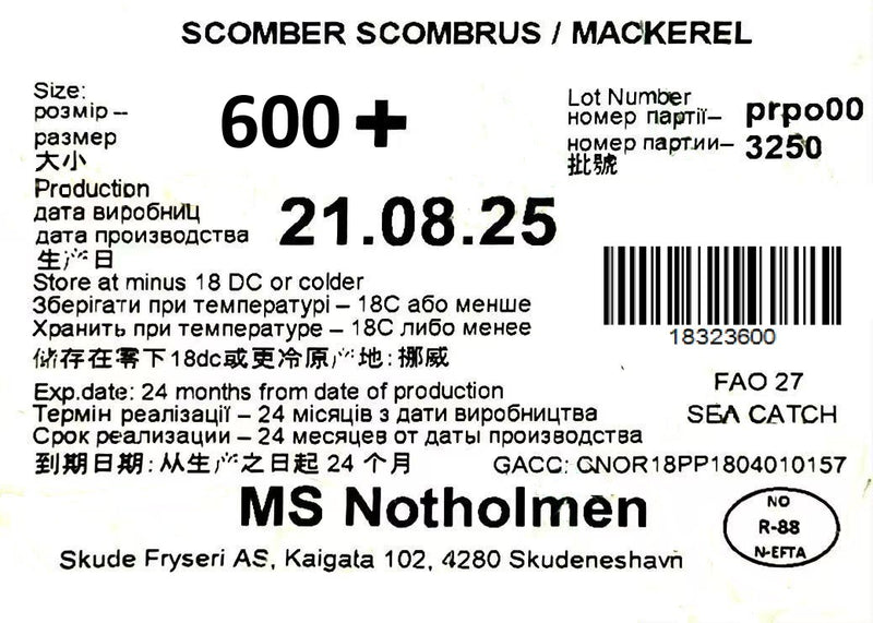 冰冻-Tiefgefroren! 挪威 鲭鱼 600+ 一条 /Norwegian Makrele Saba W/R 600+ pro Stück WESTCOAST
