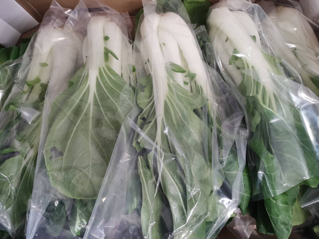小白菜 奶白菜 大号 1颗 /Pak choi Milch Choi St. Ursprungsland: Niederlande