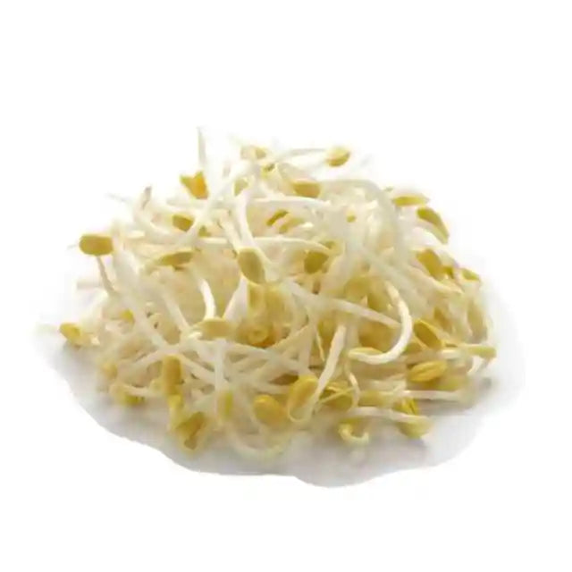 黄豆芽 400克 / Sojabohnensprossen 400g Ursprung: Deutschland
