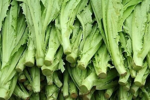油麦菜 400克 /Makchoi 400g Ursprung: Niederlande