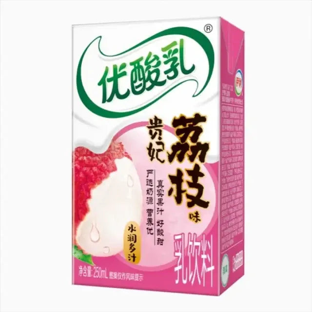 伊利 优酸乳 贵妃荔枝味 250毫升 /Milchgetränke mit Litschigeschmack 250ml YILI