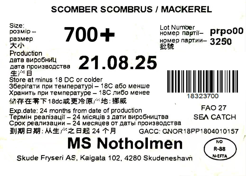 冰冻-Tiefgefroren! 挪威 鲭鱼 青花鱼 700+ 一条 /Norwegian Makrele Saba W/R 700+ pro Stück WESTCOAST