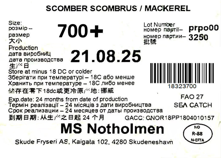 冰冻-Tiefgefroren! 挪威 鲭鱼 青花鱼 700+ 一条 /Norwegian Makrele Saba W/R 700+ pro Stück WESTCOAST