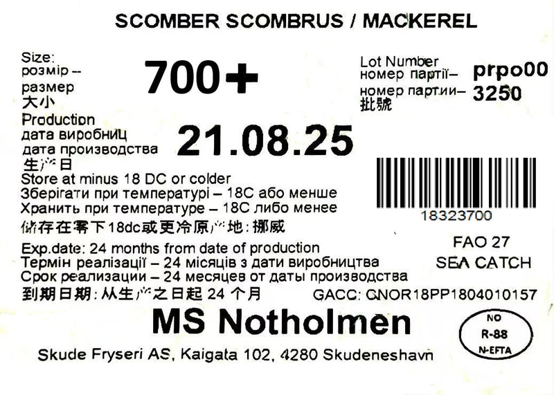 冰冻-Tiefgefroren! 挪威 鲭鱼 700+ 一条 /Norwegian Makrele Saba W/R 700+ pro Stück WESTCOAST