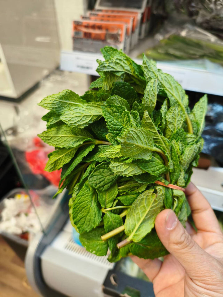 新鲜 胡椒薄荷 100克 /Frische Pfefferminze 100g