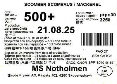 冰冻-Tiefgefroren! 挪威 鲭鱼 500+ 一条 /Norwegian Makrele Saba W/R 500+ pro Stück WESTCOAST