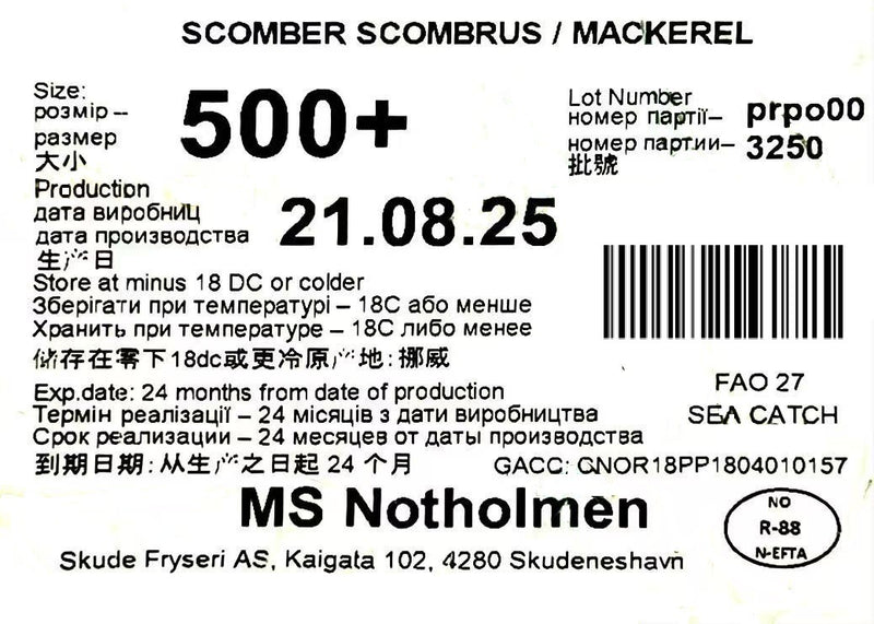 冰冻-Tiefgefroren! 挪威 鲭鱼 500+ 一条 /Norwegian Makrele Saba W/R 500+ pro Stück WESTCOAST