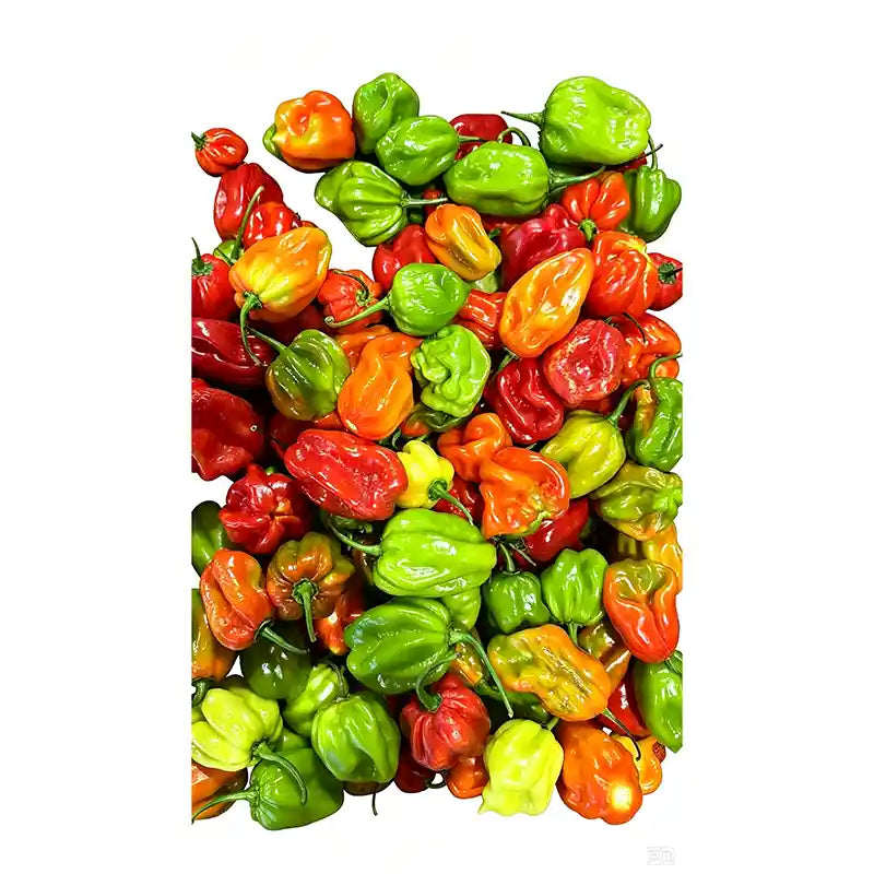 新鲜 魔鬼辣辣椒 100克 /Frische Scotch Bonnet Chili 100g