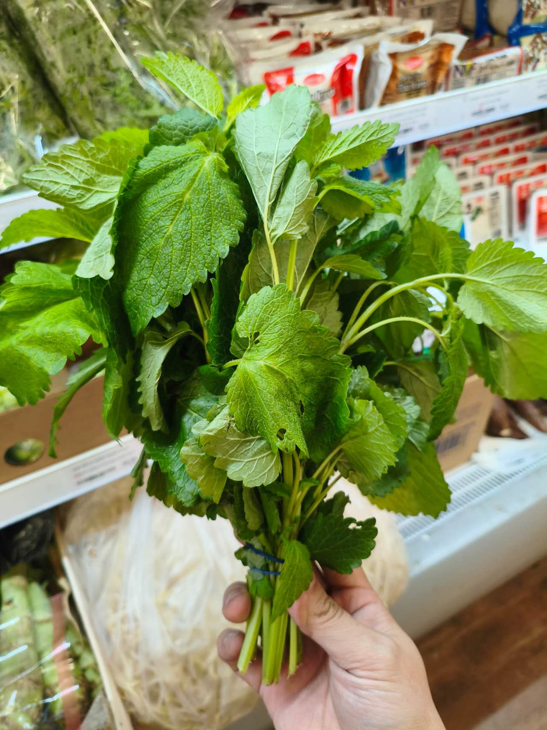 新鲜 柠檬香蜂草 150克 /Frische Zitronenmelisse Melissa 150g