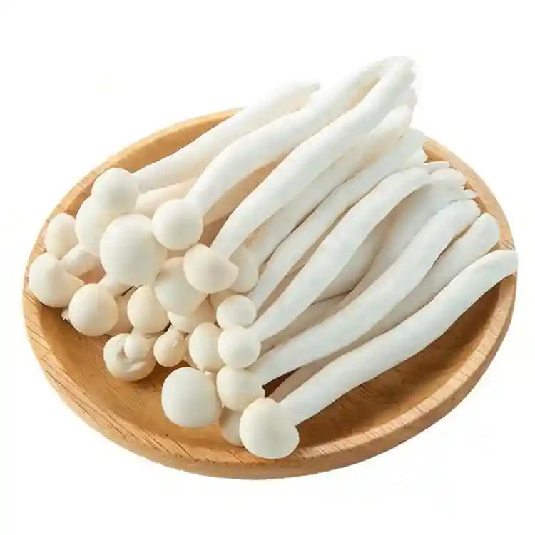 新鲜 白雪菇 海鲜菇 白蟹菇 150克 /Weißer Krabbenpilz 150g Ursprung: CN