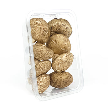 新鲜香菇 120克 /Frische Shiitake Pilze 120g