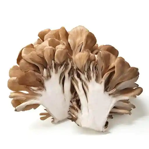 新鲜 舞茸菇 150克 /Maitake-Pilz 150g