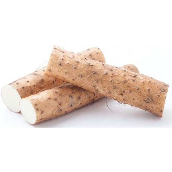 淮山药 真空山药 每公斤 /Yam Fresh Wai Shan pro Kilo Ursprung: China