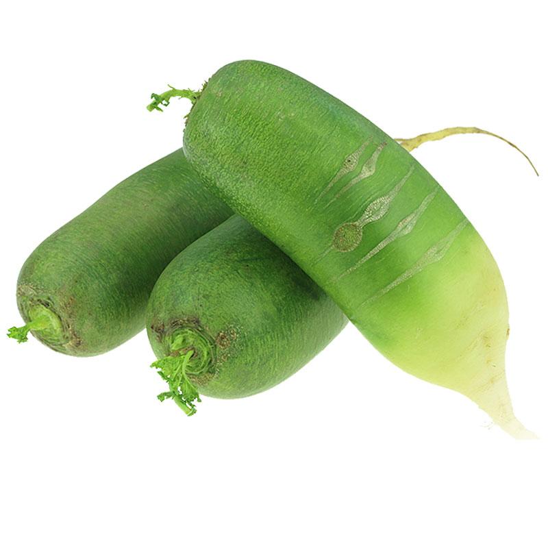 中国 青萝卜 绿水果萝卜 每公斤 /Grün Oriental Radish pro Kilo Ursprung: China