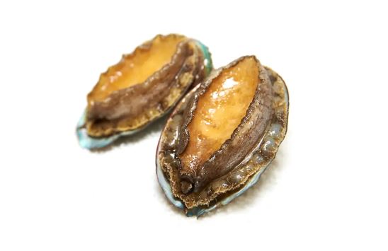 冰冻-Tiefgefroren! 鲍鱼 (8头鲍) 450克 / Abalone ca.450g