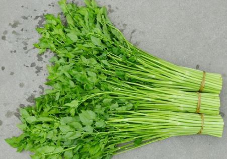 中国水芹菜 350克 /Frische Kresse 350g