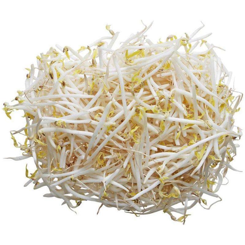 -Nicht zum Versand- 绿豆芽 一袋 /Frische Mungbohnensprossen pro Beutel