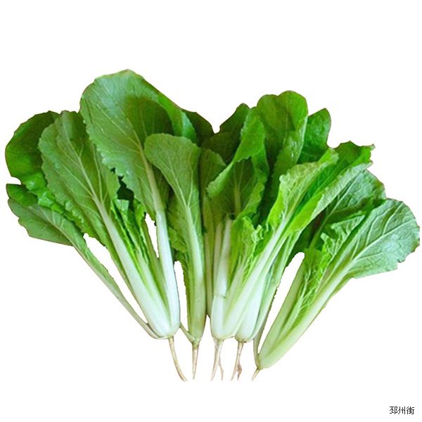 小青菜 500克 / Chinesischer Senfkohl 500g