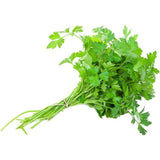 香菜 一捆 /Koriander pro Bündel Ursprung: Spanien