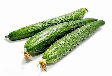 新鲜 带刺脆黄瓜 每根 /Frische Gurke pro Stück