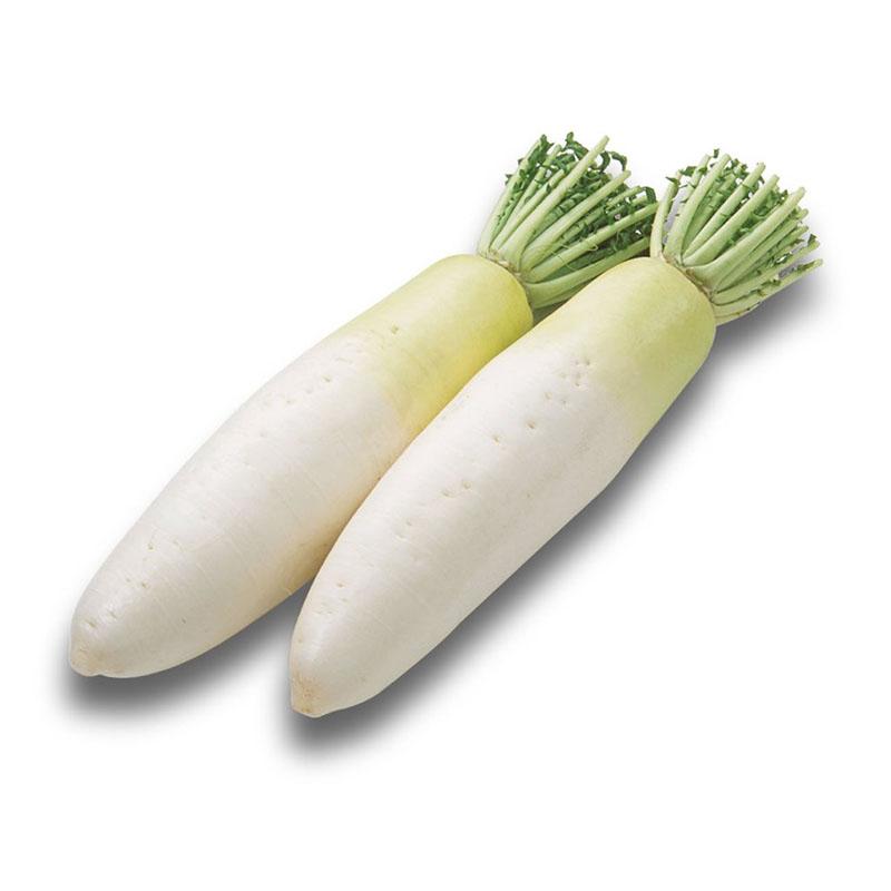 白萝卜 一根 /Rettich pro Stück Ursprung: Italien