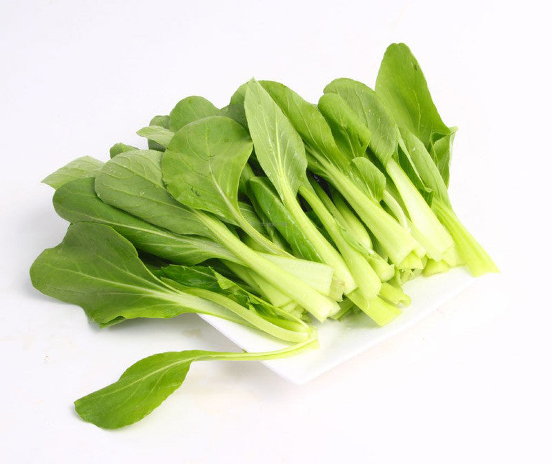 鸡毛菜 一捆 约400克 / Chinesischer Senfkohl ca. 400g pro Bündel